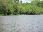 IMG 4729